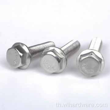 A2 A4 Hex Head Sus Sus Stainless Flange Bolt